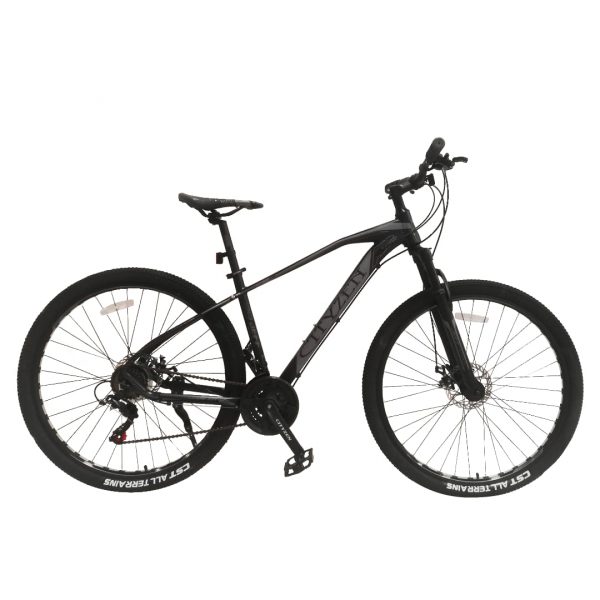 MTB Cityzen 29 Bicicletas Jeff